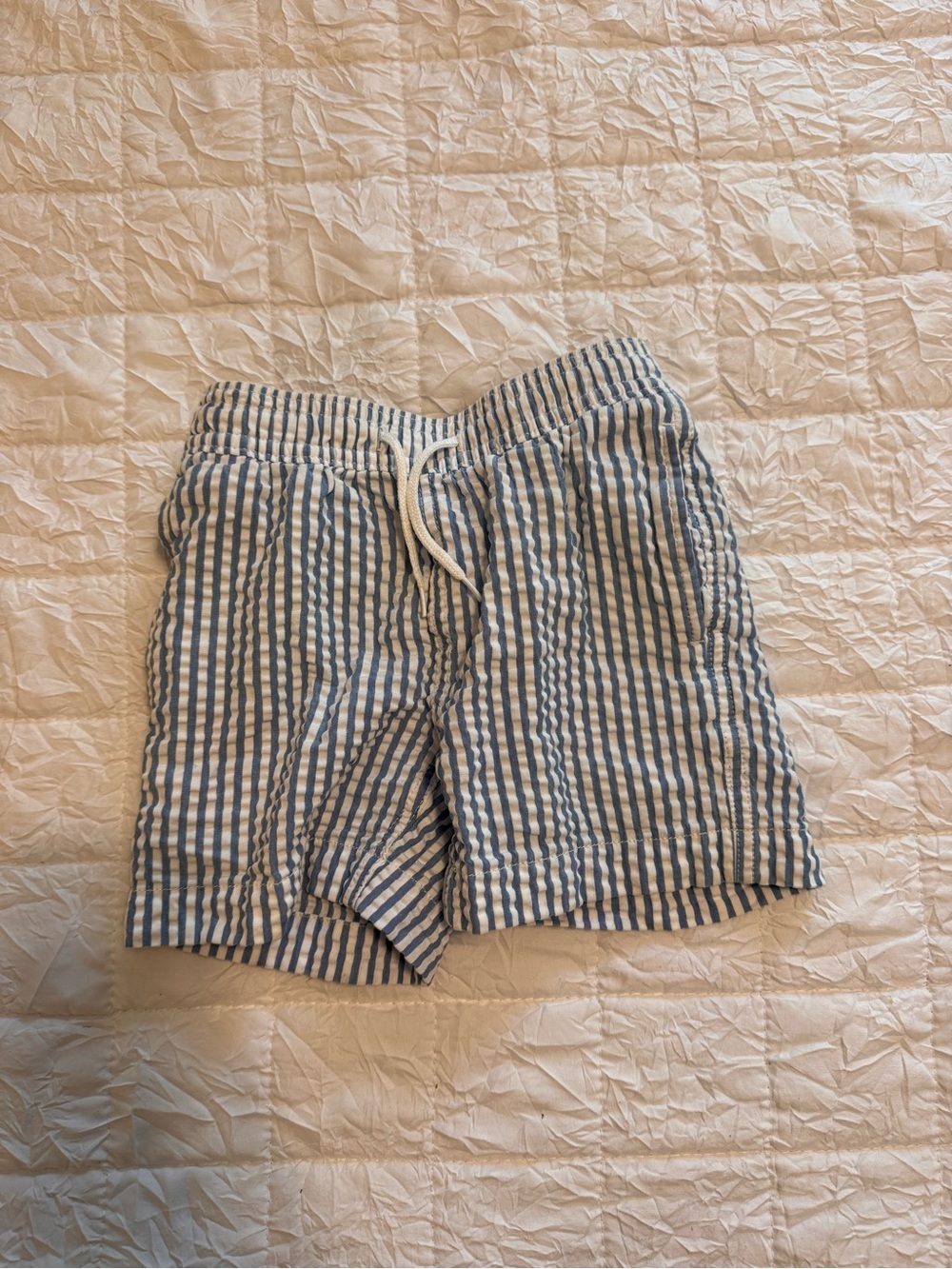 Crewcuts Blue and White Striped Swim Trunks
